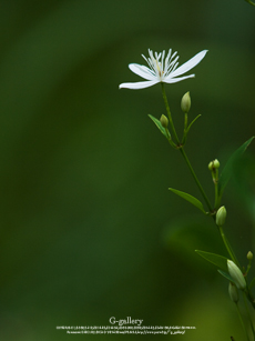 P1070421-2m.jpg