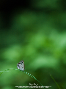 P1070435-3m.jpg