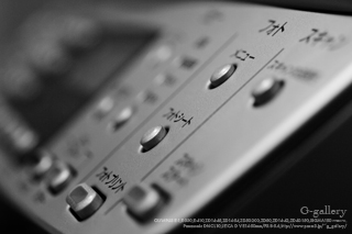 P1070480-10m.jpg