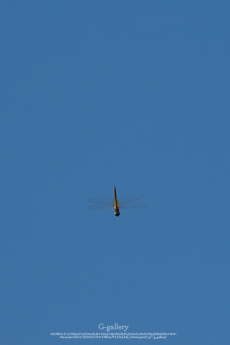 P1070776-3m.jpg