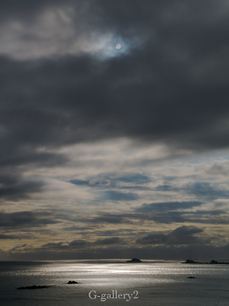 P1126146.jpg