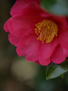 P1126333_os2.jpg