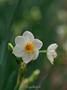 P1136534_3.jpg
