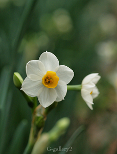 P1136534_os2.jpg
