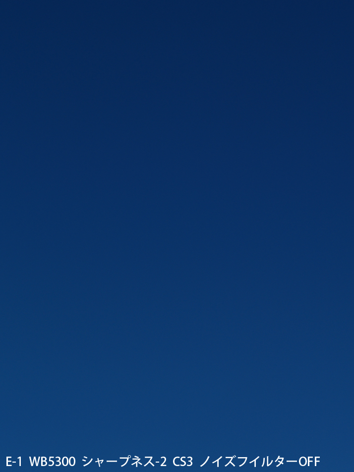 P1263922_E1_50_2.jpg