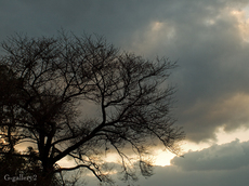 P2036705-LR.jpg