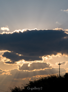 P2176731-LR.jpg