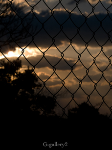 P2176742-LR.jpg