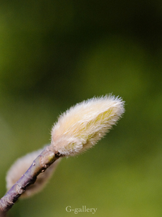 P3107060-LR3.jpg