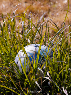 P3107075-LR3.jpg
