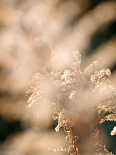 P3107083-LR3.jpg