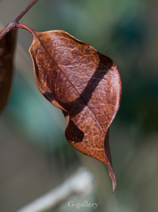 P3107102-LR3.jpg
