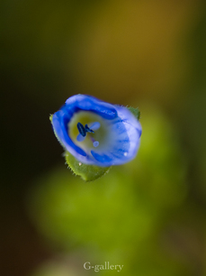 P3107115-LR3.jpg
