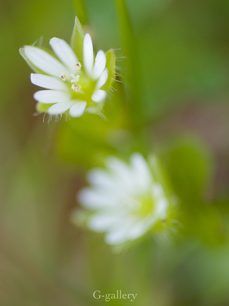 P3107131-LR3.jpg