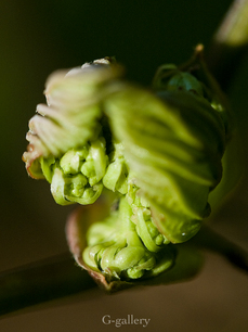 P3107181-LR3.jpg