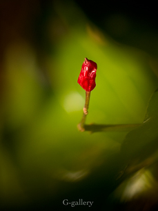 P3107186-LR3.jpg