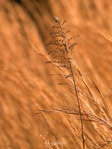 P3107205-LR3.jpg