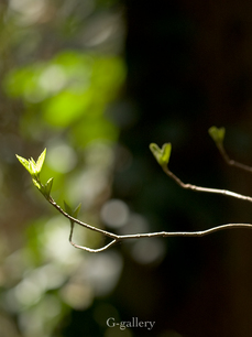 P3157313-LR.jpg