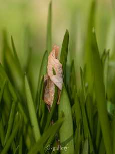 P3157402-LR.jpg