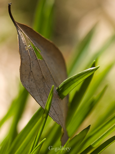 P3157410-LR.jpg