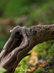P3157427-LR.jpg