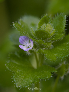 P3167577-3.jpg