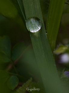 P3167592-LR.jpg