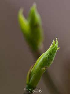 P3167603-LR.jpg