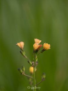 P3167636-LR.jpg