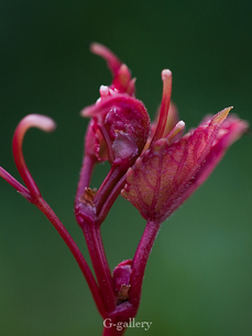 P3167652-LR.jpg