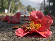 P3207559-LR.jpg
