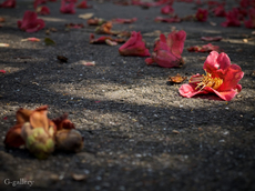 P3207570-LR.jpg