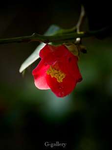 P3207694-LR.jpg