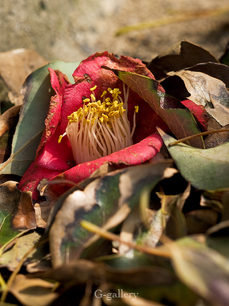 P3207729-LR2.jpg