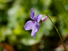 P3207851-LR2.jpg