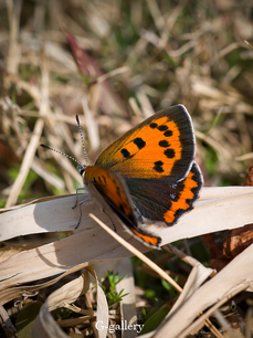 P3207923-LR.jpg