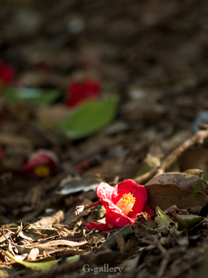 P3208033-LR2.jpg