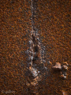 P3227642-LR.jpg