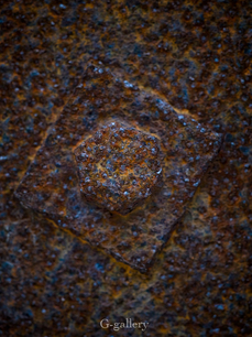 P3227654-LR.jpg