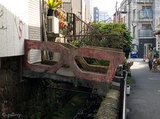 P3287762-LR2.jpg