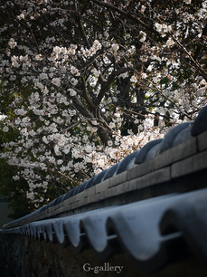 P3287778-LR2.jpg