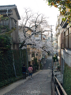 P3287789-LR2.jpg