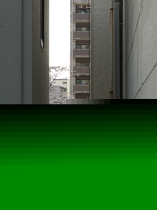 P3287801-LR2.jpg