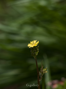 P3290017-LR2.jpg