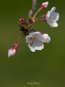 P3290064-LR2.jpg