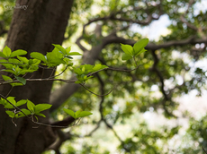 P3290091-LR2.jpg