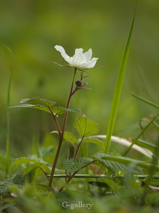 P3290105-LR2.jpg