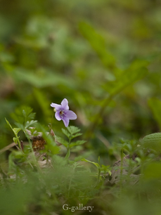 P3290113-LR2.jpg