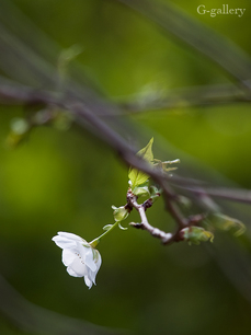 P3290125-LR2.jpg