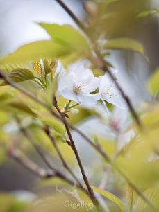 P3290144-LR2.jpg